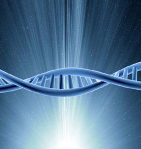 Catena DNA